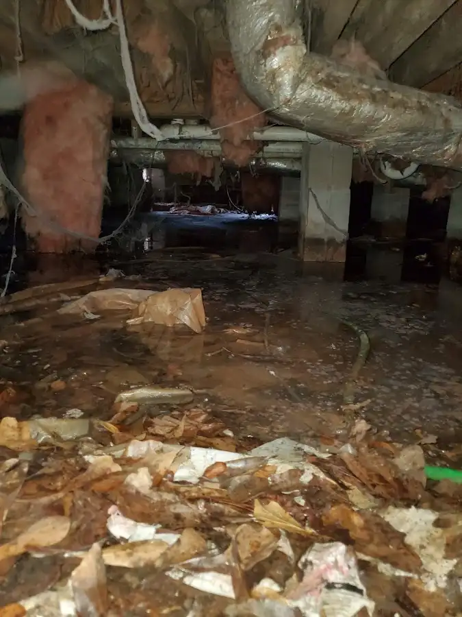 Crawl space flood assessment for Leak Detection & Repair in Sky Lake
